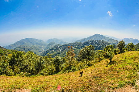 Landscape Photo of Tall Trees on Mountains at Daytime thumbnail