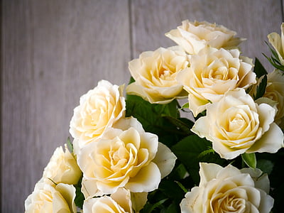 yellow roses thumbnail