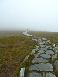 man walking in pathway in daytime thumbnail