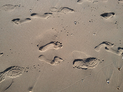 footprints on gray sand thumbnail