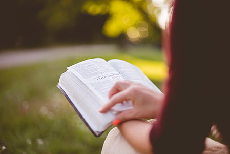 selective-focus photography person reading book thumbnail