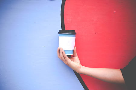 person holding disposable cup thumbnail
