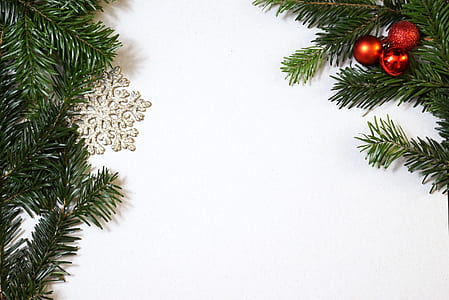 green Christmas trees and red baubles thumbnail