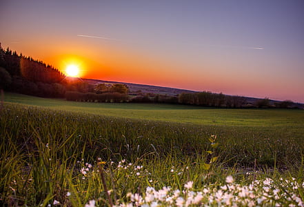 green grass field under blue sky during sunset thumbnail