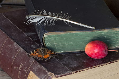 tortoiseshell butterfly on brown labeled book beside black book near red apple fruit thumbnail