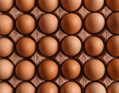 tray of organic eggs thumbnail