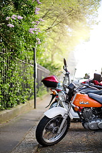 motorcycle, motor bike, vehicle, bike, transport thumbnail