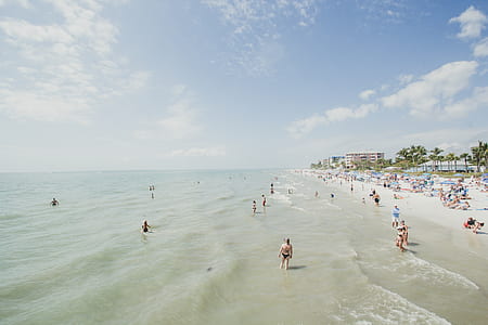 people swimming on beach thumbnail