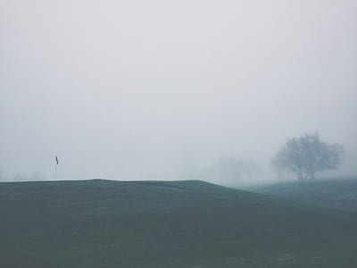 green grass covered with fog thumbnail