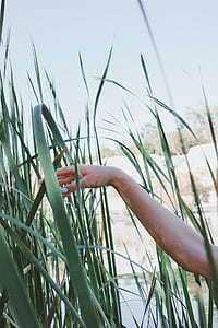 person's arm on green grass thumbnail