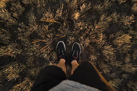 person wearing black-and-white sneakers standing on green grass thumbnail
