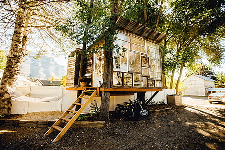 brown wooden tree house thumbnail