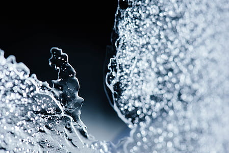macro photography of snowflake thumbnail