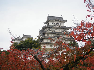 white and gray concrete temple during daytime thumbnail
