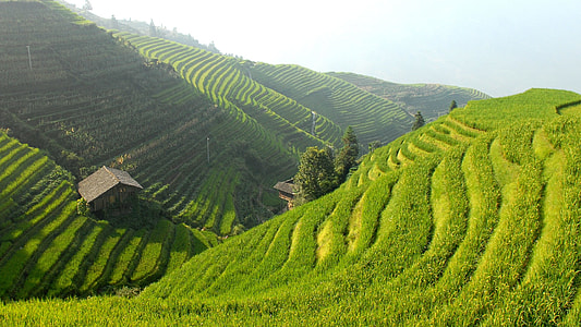 Banaue Rice Terraces, Philippines thumbnail