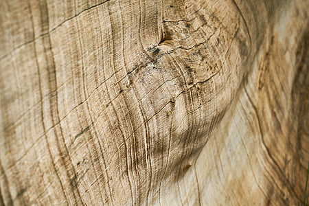brown wood board thumbnail