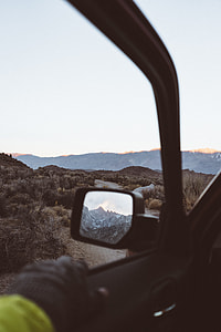 photography of a land mass with cactus thumbnail