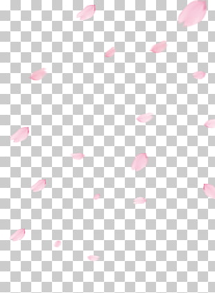 Cherry blossom Flower, Cherry blossom petals, pink flower petals PNG clipart