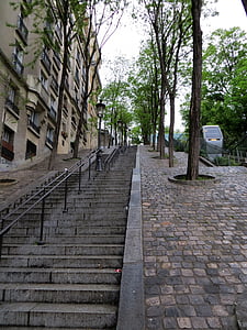 gray concrete stair near green leafed trees and building thumbnail