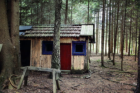 brown wooden cottage in forest during daytime thumbnail