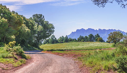 green grass field under blue sky thumbnail