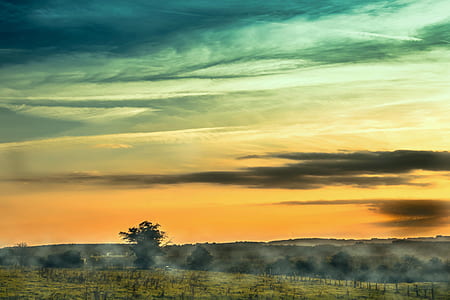 panorama photography of green field thumbnail