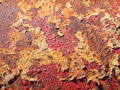 weathered leaves on red ground thumbnail