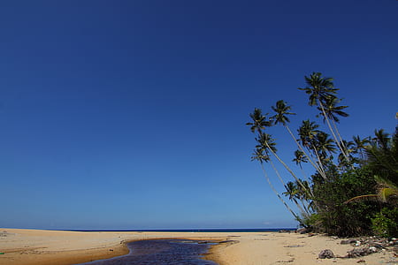 sea, landscape, nature, beach thumbnail