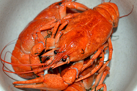 lobster dish thumbnail