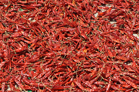 red chili pepper lot thumbnail