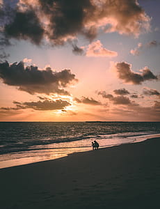 Silhouette of Two Person at Seashore during Sunset thumbnail
