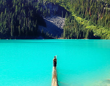 person standing on brown wooden dock thumbnail