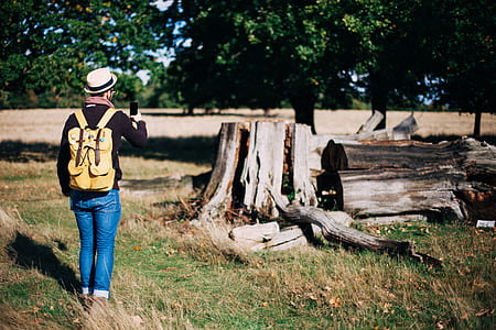 wood, landscape, nature, fashion thumbnail