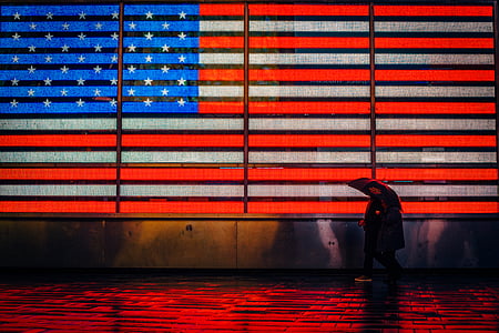flag of U.S.A. thumbnail