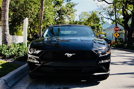 black Ford Mustang car parking on road thumbnail