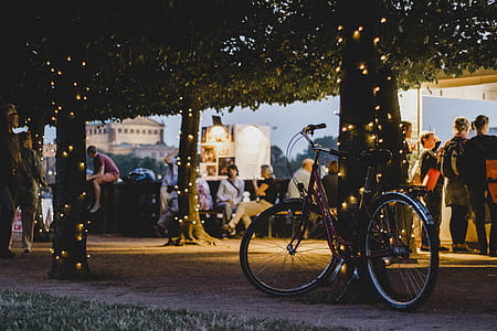 red bicycle near tree bark with lights thumbnail