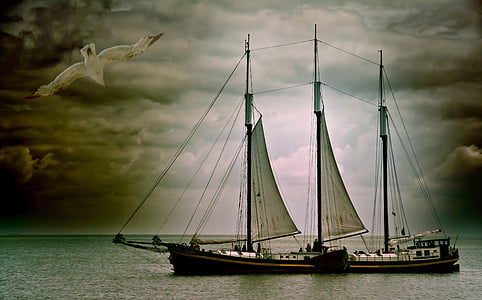 black and brown sailing ship on bodies of water thumbnail