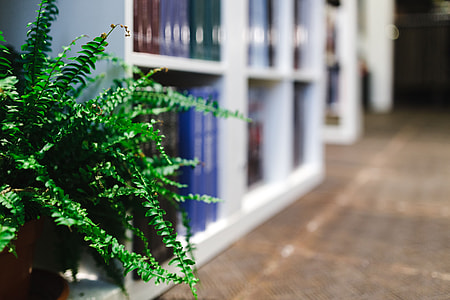 A visit to the bookstore thumbnail