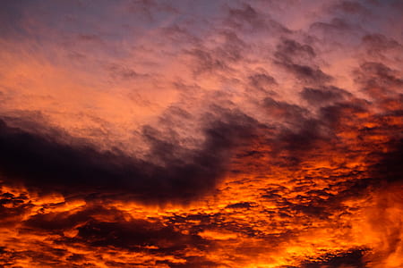low angle photo of red skies thumbnail