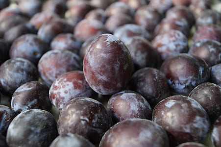 round purple fruit lot thumbnail