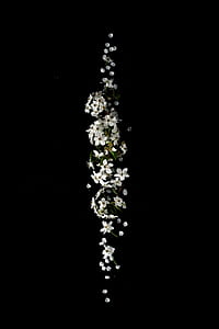 white flowers thumbnail