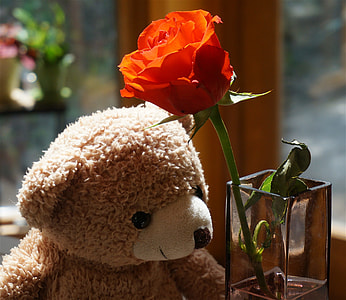 Old Teddy Bear With Rose, Teddy Bear thumbnail