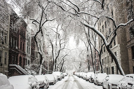 cars parked on road covered in snow at daytime thumbnail