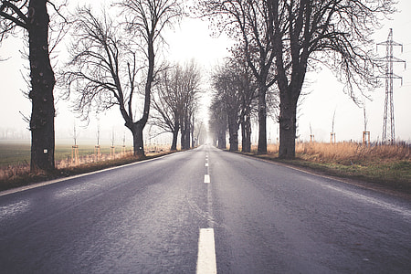 Foggy Winter Road thumbnail