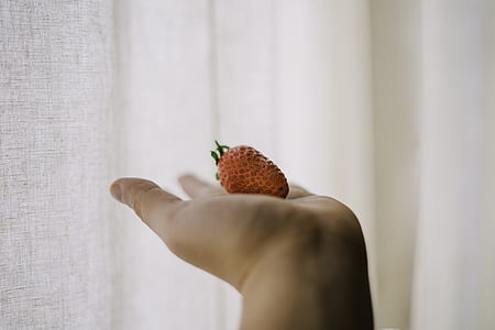 person holding strawberry thumbnail