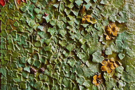 Green Leaves Concrete Wall thumbnail