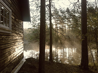 photo of body of water covered with mists thumbnail