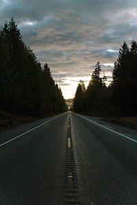 asphalt road between trees under cloudy sky thumbnail