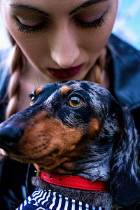 girl with dapple dachshund thumbnail