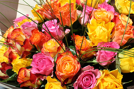bouquet of pink, yellow, and orange roses thumbnail